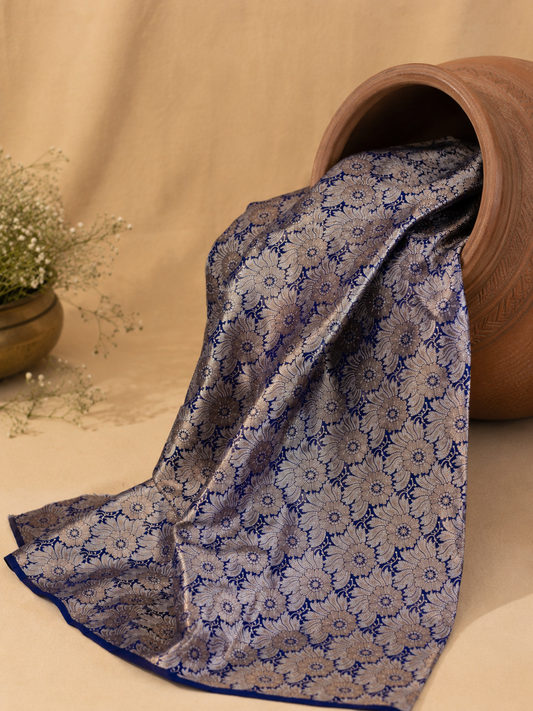Moonlit Silver Tissue Saree with brocade blouse