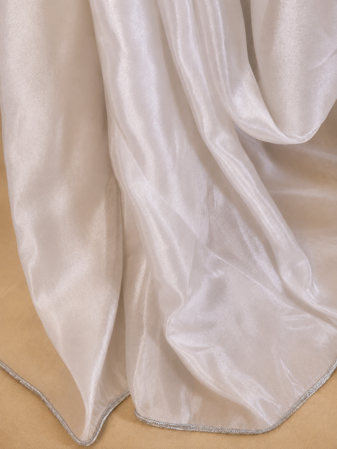 Moonlit Silver Tissue Saree with brocade blouse