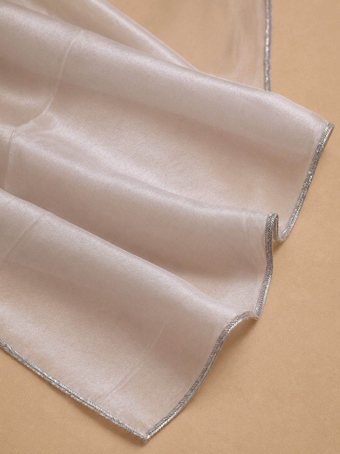Moonlit Silver Tissue Saree with brocade blouse