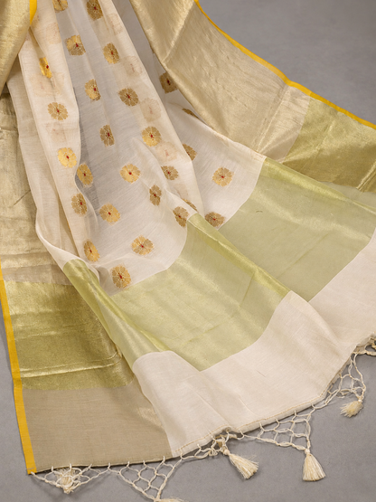 Suvarna Aanchal – Banarasi Cotton Silk Saree
