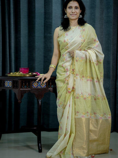 Ivory Gulabi Jamdhani Cotton Silk Saree with Golden Pallu