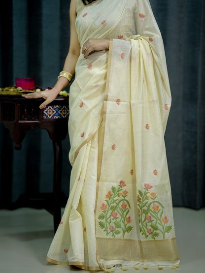 Ivory Lotus Jamdhani -Cotton Silk Saree with Golden Border