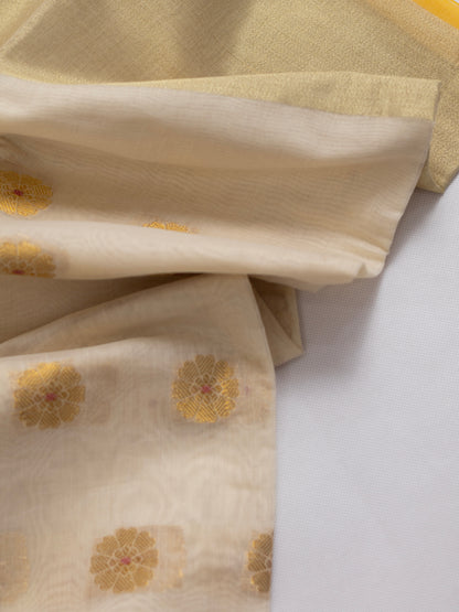 Suvarna Aanchal – Banarasi Cotton Silk Saree