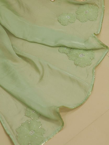 Whispered Grace – Mint Green Pure Organza Silk Saree