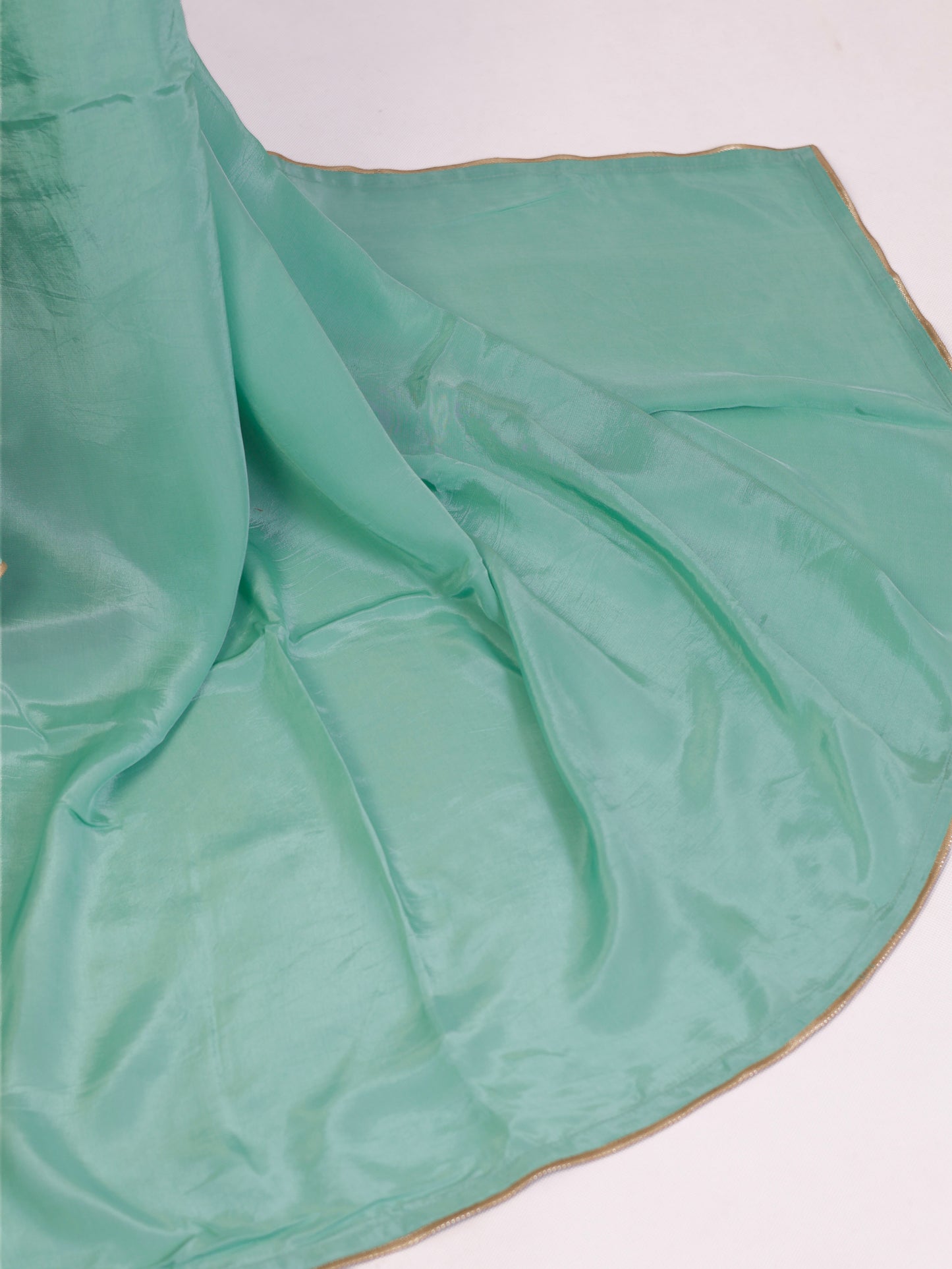 Sea green  Crepe silk Saree with brocade blouse