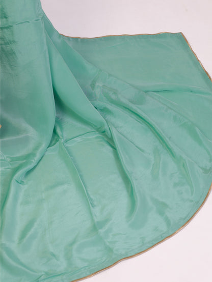 Sea green  Crepe silk Saree with brocade blouse