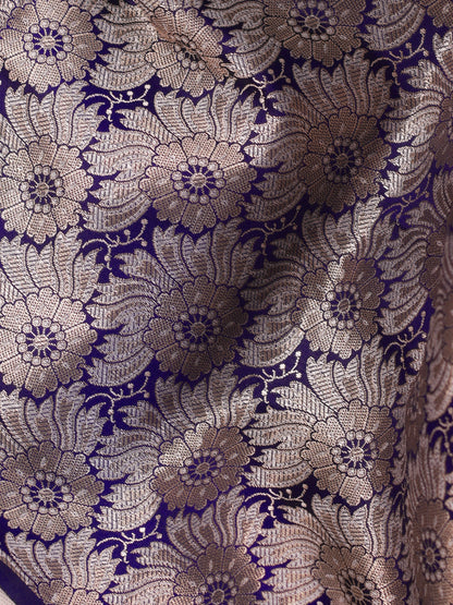 Moonlit Silver Tissue Saree with brocade blouse